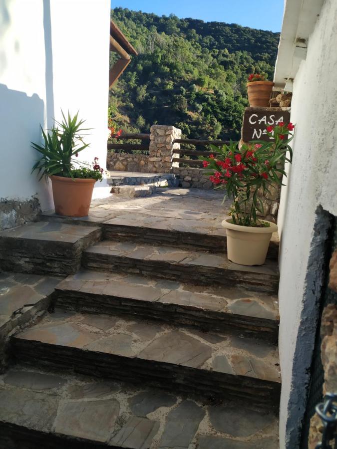 Pensjonat Cortijo La Solana Güéjar Sierra Zewnętrze zdjęcie