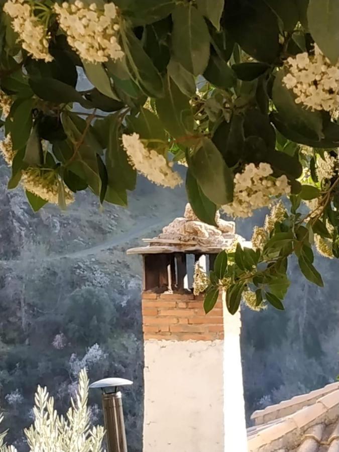 Pensjonat Cortijo La Solana Güéjar Sierra Zewnętrze zdjęcie