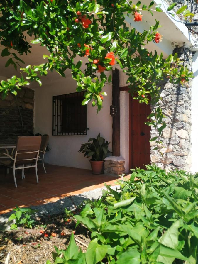 Pensjonat Cortijo La Solana Güéjar Sierra Zewnętrze zdjęcie